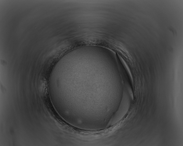 X0000090880029200708031041