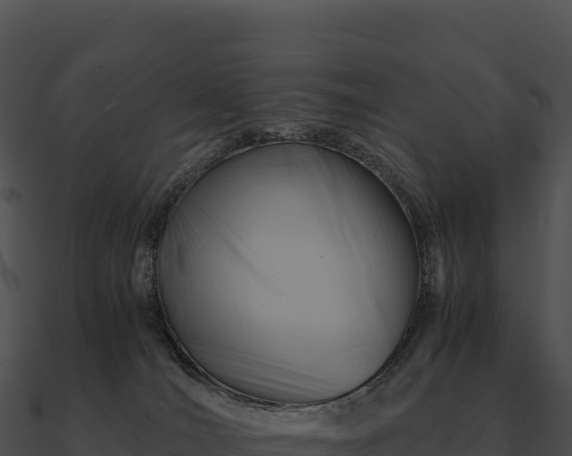 X0000090880036200708031041