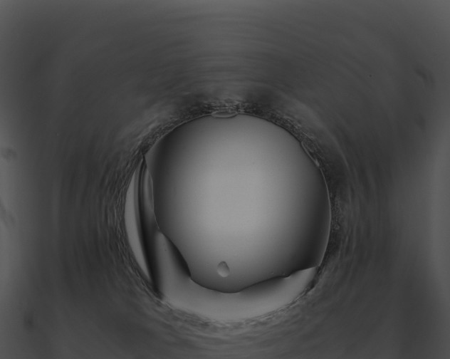 X0000090880037200708031041