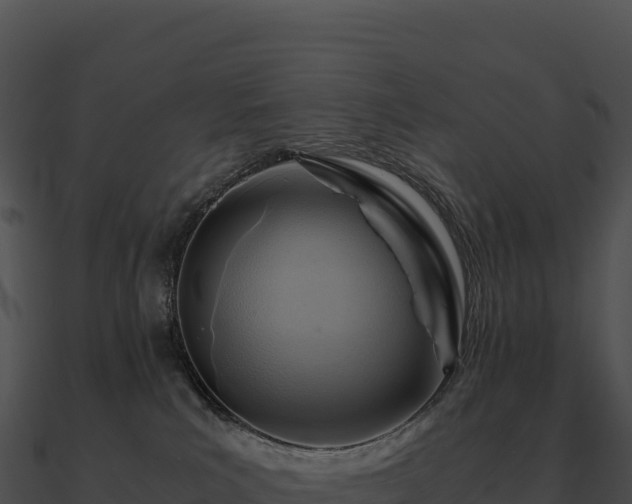 X0000090880039200708031041
