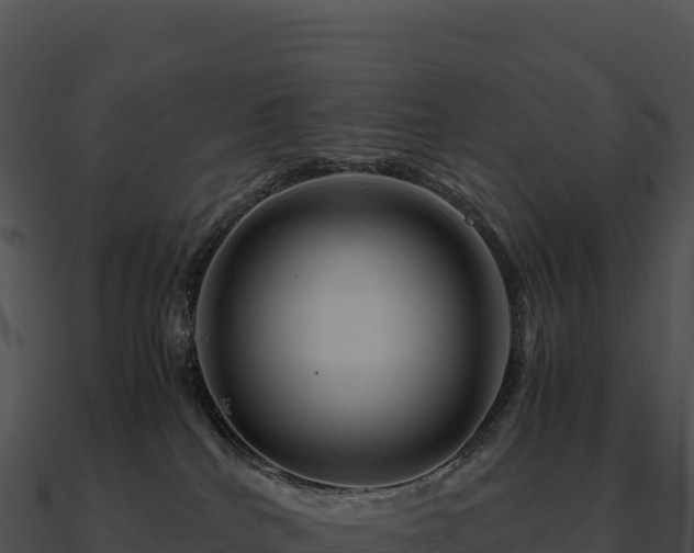 X0000090880040200708031041