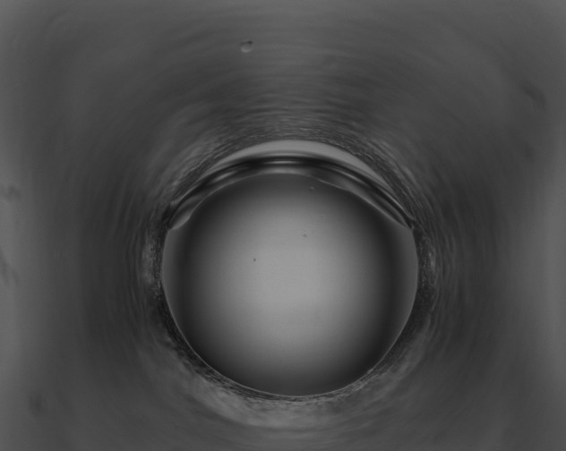 X0000090880044200708031041