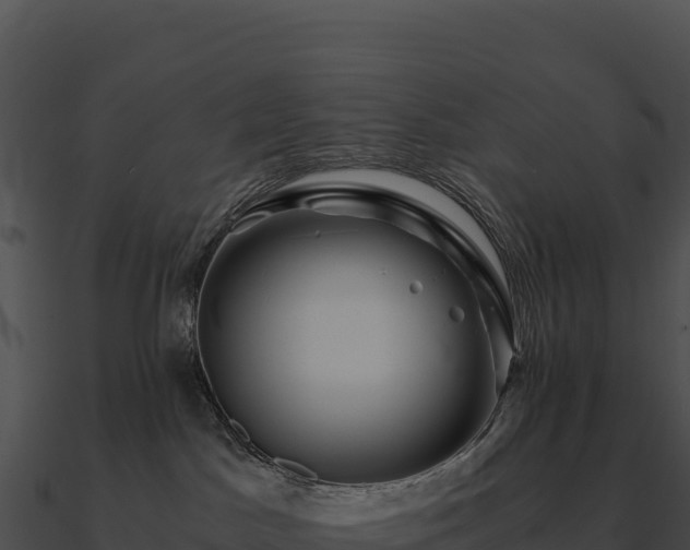X0000090880045200708031040