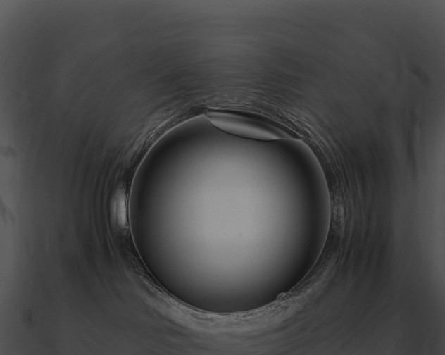 X0000090880046200708031040