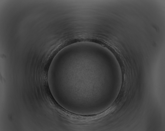 X0000090880048200708031040