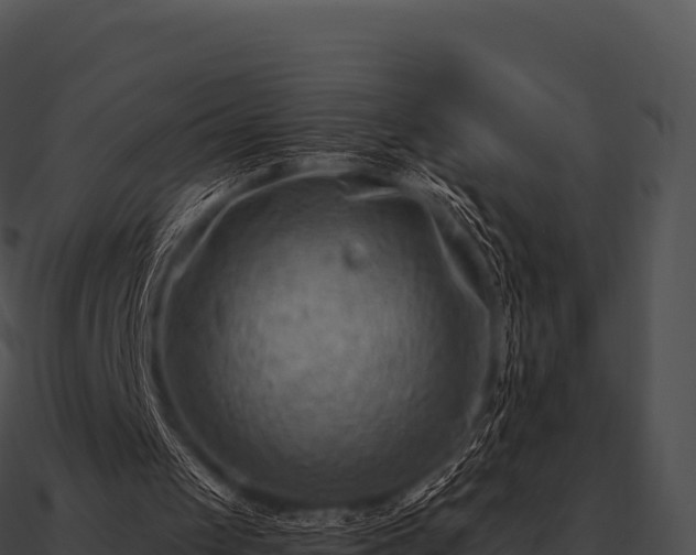 X0000090880049200708031040
