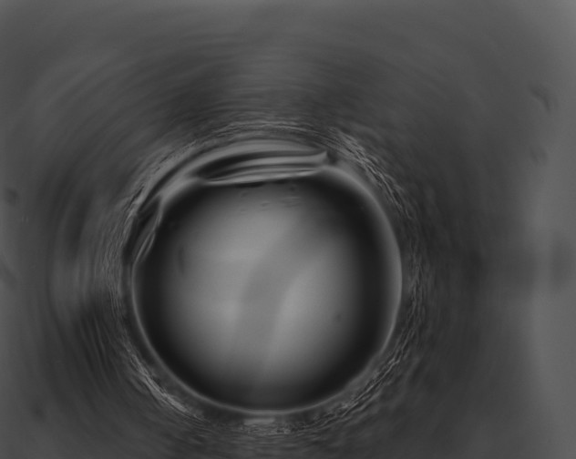 X0000090880050200708031040