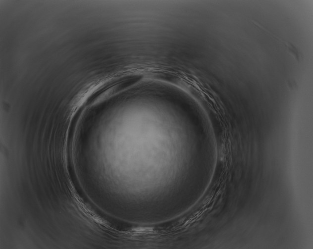 X0000090880052200708031040