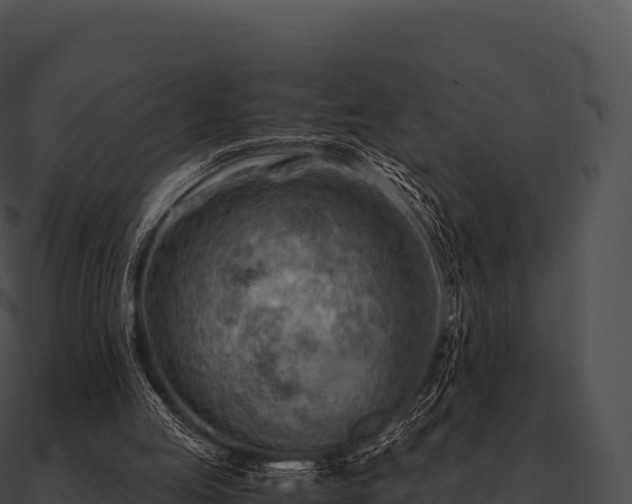 X0000090880053200708031040
