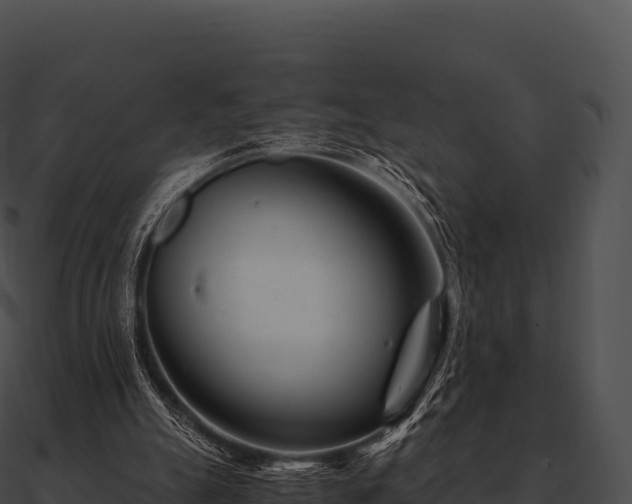 X0000090880055200708031040