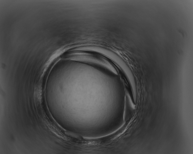 X0000090880056200708031040