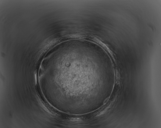 X0000090880061200708031040
