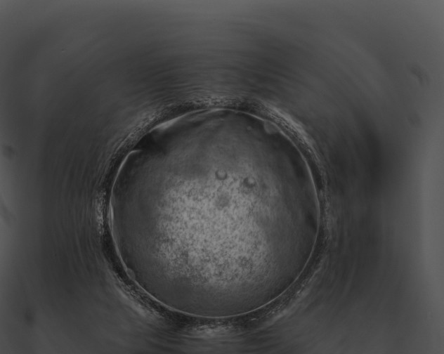 X0000090880065200708031040