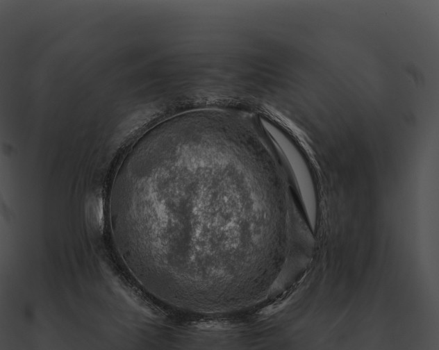 X0000090880067200708031040