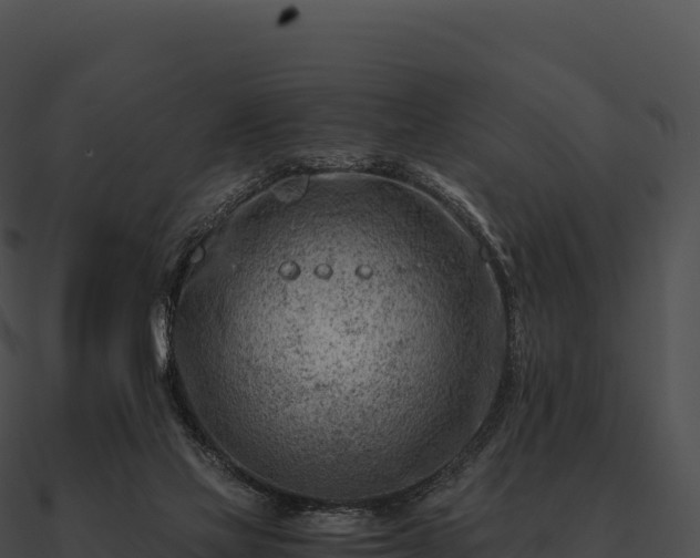 X0000090880069200708031040