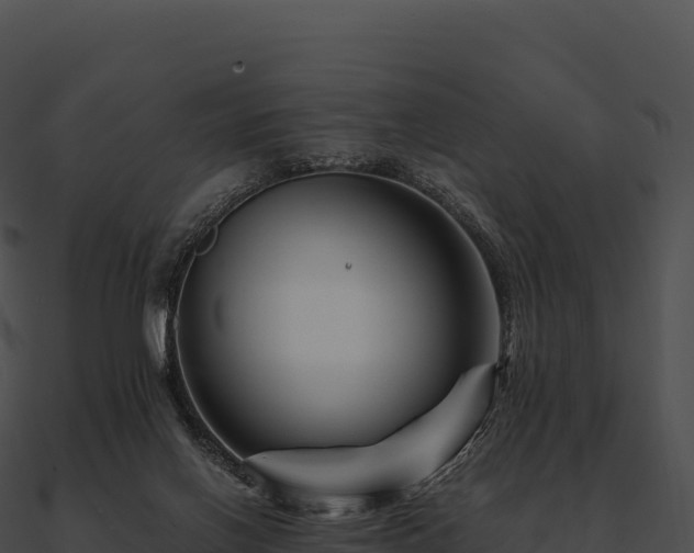 X0000090880070200708031040