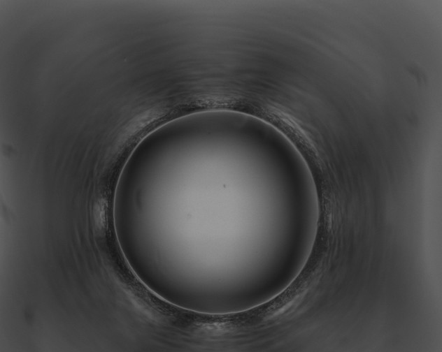 X0000090880071200708031040