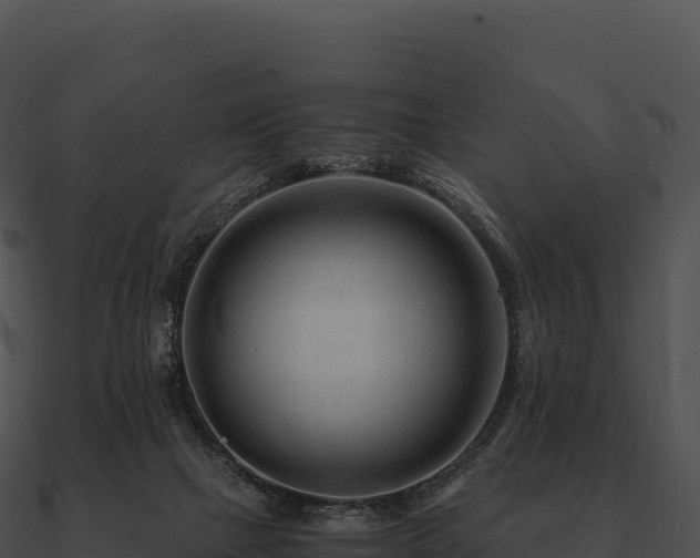 X0000090880073200708031040
