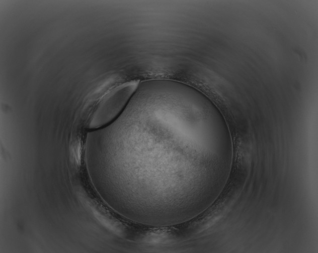 X0000090880076200708031040