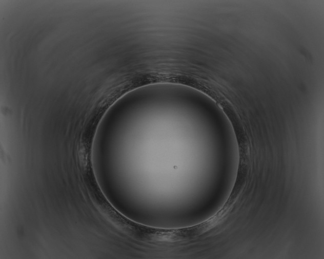 X0000090880086200708031040