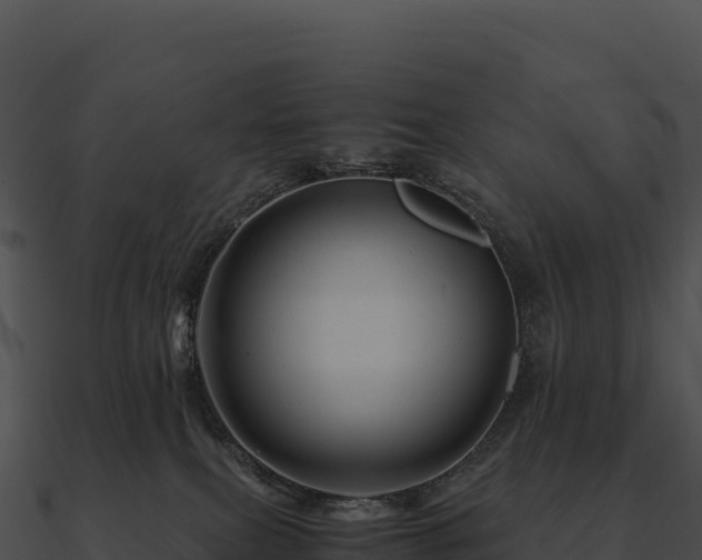 X0000090880087200708031040