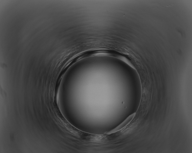 X0000090880096200708031040
