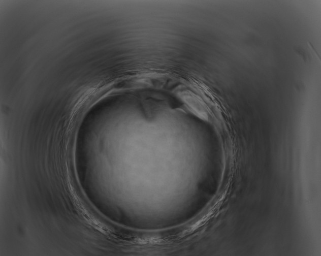 X0000090880097200708031040