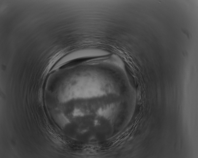 X0000090880099200708031040