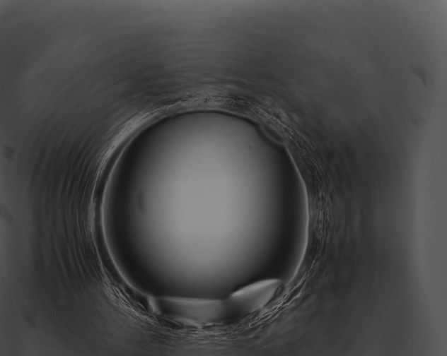 X0000090880100200708031040