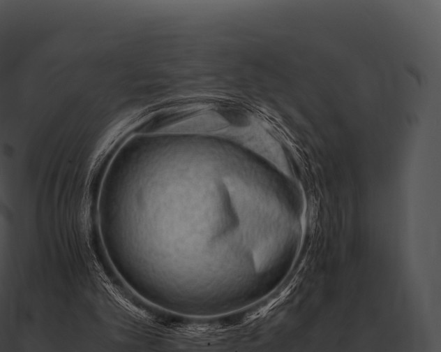 X0000090880101200708031040