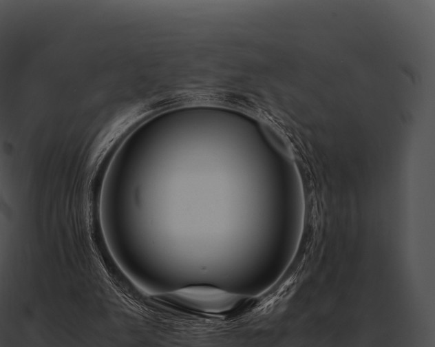 X0000090880103200708031040