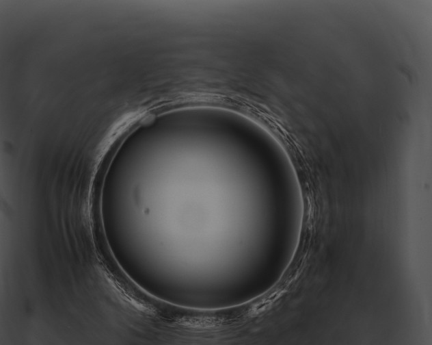 X0000090880104200708031040