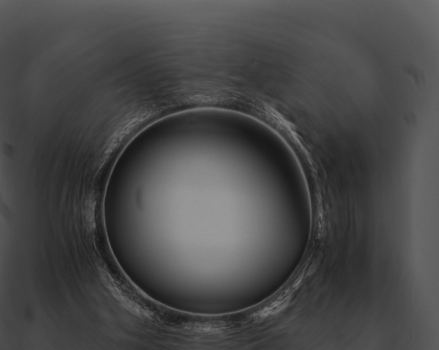 X0000090880106200708031040
