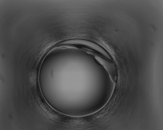 X0000090880107200708031040