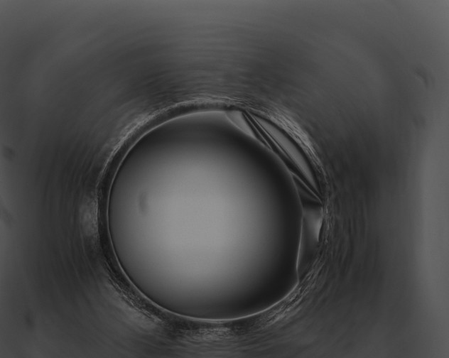 X0000090880108200708031040