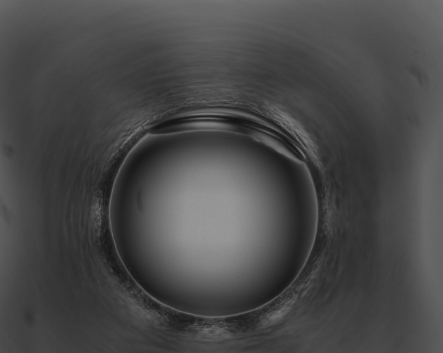 X0000090880113200708031040