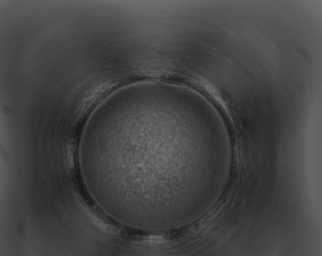 X0000090880114200708031040