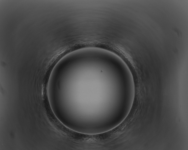 X0000090880115200708031040