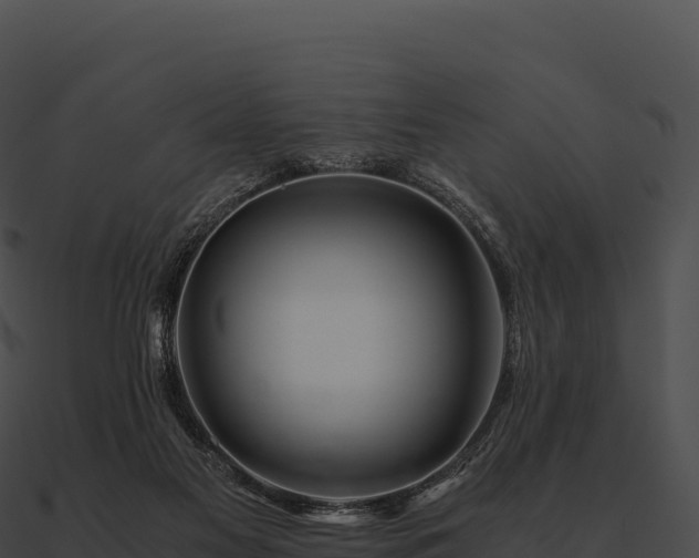 X0000090880117200708031040