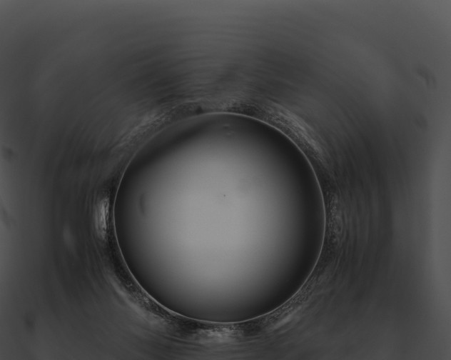 X0000090880118200708031040