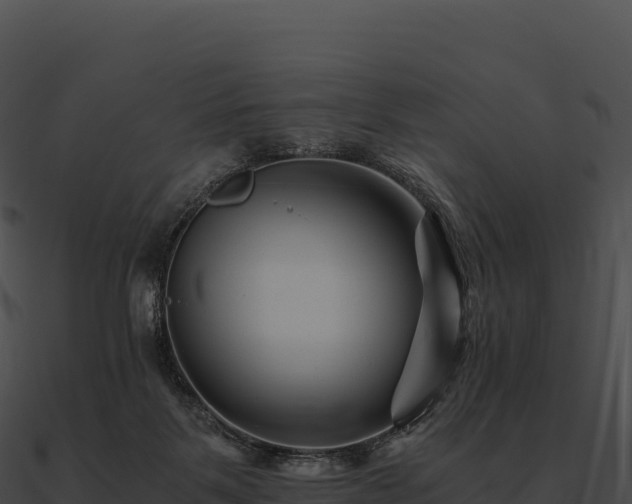 X0000090880123200708031039