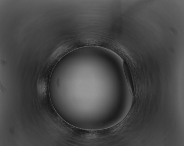 X0000090880124200708031039