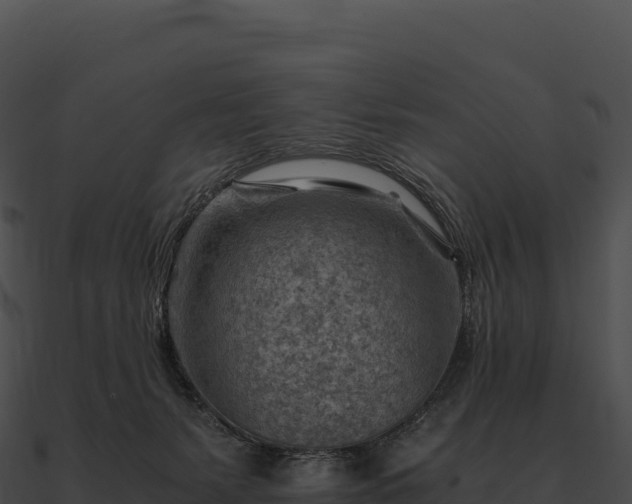 X0000090880127200708031039