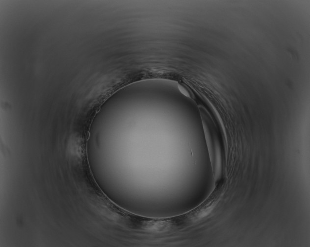 X0000090880135200708031039