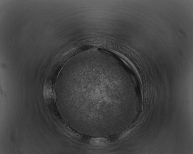 X0000090880137200708031039