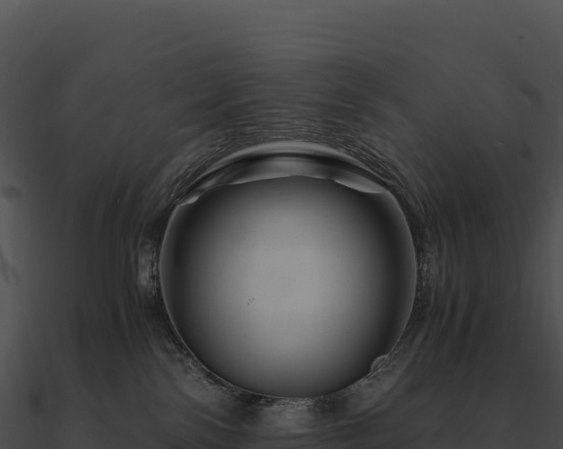 X0000090880138200708031039