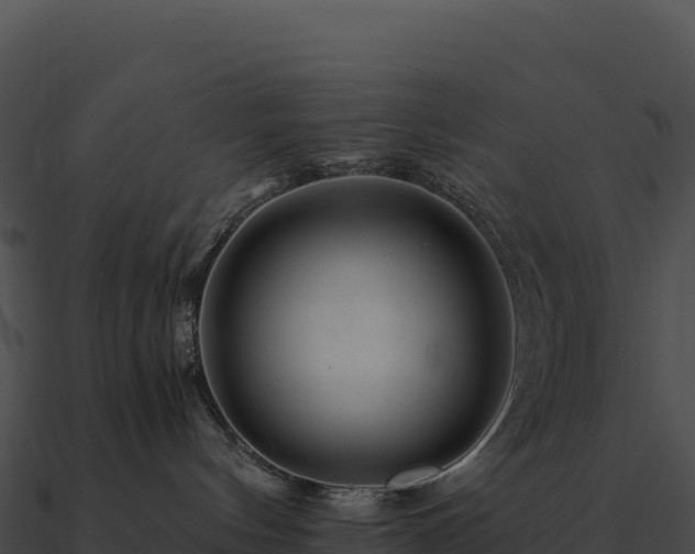 X0000090880144200708031039