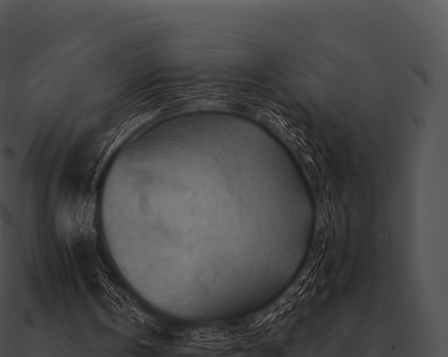 X0000090880146200708031039