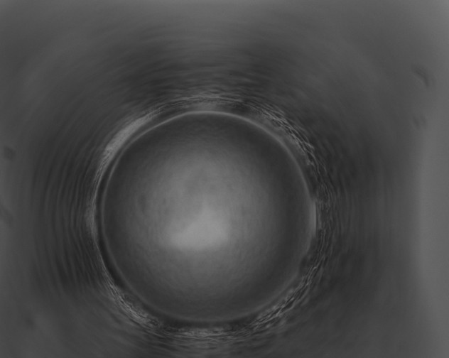X0000090880147200708031039