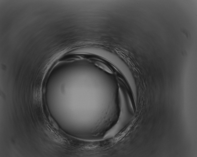 X0000090880148200708031039
